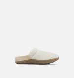 ancient-fossil-gum-2